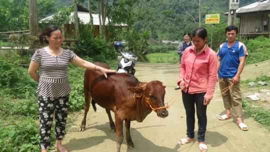 Tiếp tục phát triển Dự án 