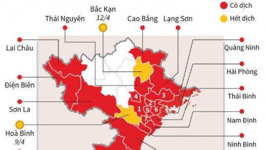 'Điểm danh' 22 tỉnh, thành phố hiện có dịch tả lợn châu Phi