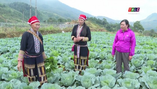 Sa Pa thực hiện hiệu quả Đề án “Hỗ trợ phụ nữ khởi nghiệp”