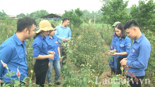 Điểm tựa cho thanh niên thành phố Lào Cai khởi nghiệp sáng tạo
