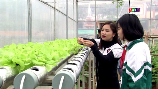 Cần nhân rộng mô hình trồng rau trong nhà lưới tại các trường học vùng cao