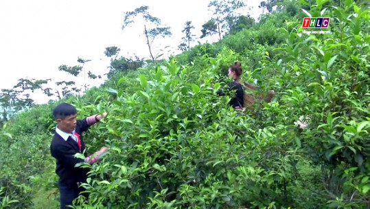 Kết quả giám sát Đề án giảm nghèo bền vững tỉnh Lào Cai