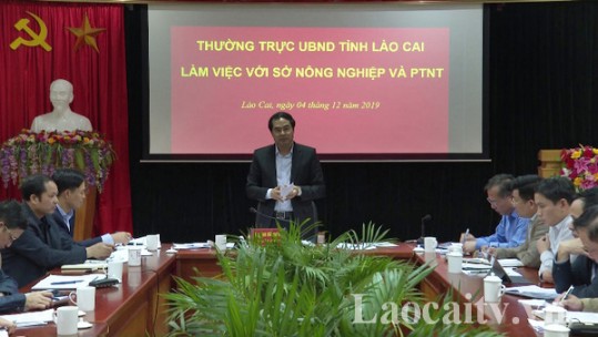 Thường trực UBND tỉnh Lào Cai làm việc với Sở Nông nghiệp và Phát triển nông thôn