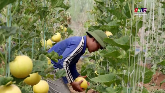 Phát huy hiệu quả nguồn vốn vay