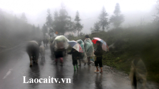 Quản lý tốt việc di chuyển đàn gia súc đi tránh rét