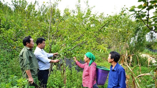 Quan tâm đào tạo, bồi dưỡng cán bộ cấp cơ sở