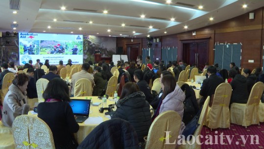 Thúc đẩy bình đẳng giới thông qua phát triển nông nghiệp, du lịch