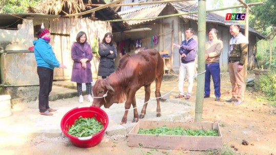 Chăm lo cho người nghèo - cần đi vào những vấn đề cốt lõi