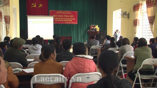 Đánh giá mô hình trồng rau VietGAP tại Bảo Thắng