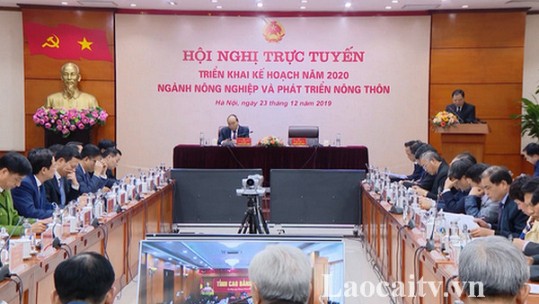 Bộ Nông nghiệp và Phát triển nông thôn tổng kết công tác năm 2019