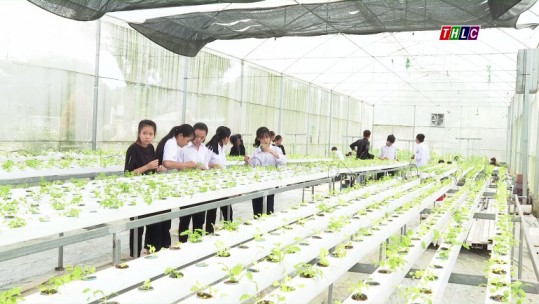 Hiệu quả mô hình “trường học gắn với thực tiễn” ở Bảo Thắng