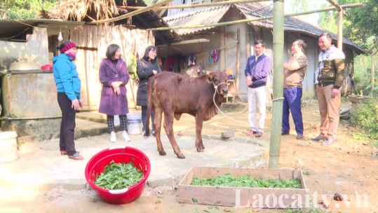 Mặt trận Tổ quốc các cấp tỉnh Lào Cai chăm lo giúp đỡ người nghèo