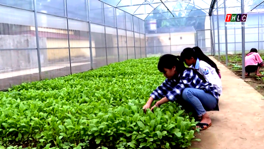 Nét mới trong phong trào xây dựng trường học gắn với thực tiễn