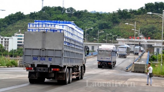 Năm 2019, kim ngạch xuất khẩu đạt trên 2,6 tỷ USD