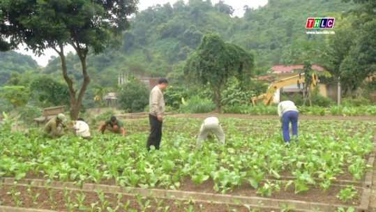 Lao động trị liệu – sự cần thiết trong cai nghiện ma túy