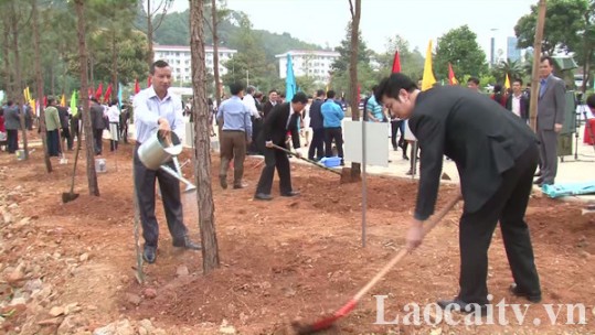 Lào Cai tổ chức Tết trồng cây đời đời nhớ ơn Bác Hồ xuân Canh Tý 2020 từ 30/1 - 7/2