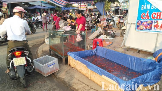 Thị trường sôi động ngày ông Công, ông Táo về trời