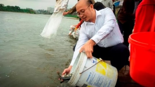 Thả hàng vạn cá giống xuống sông Hồng nhân lễ ông Công, ông Táo