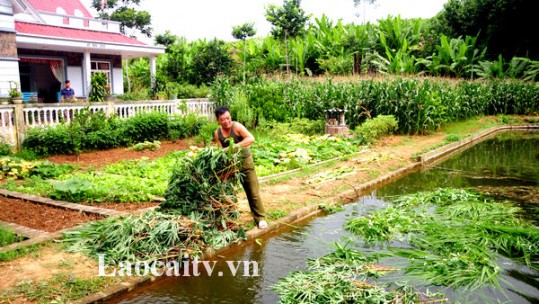 “Quản lý đảng viên đi làm xa – lắng nghe tiếng nói từ cơ sở” (Kỳ 3)