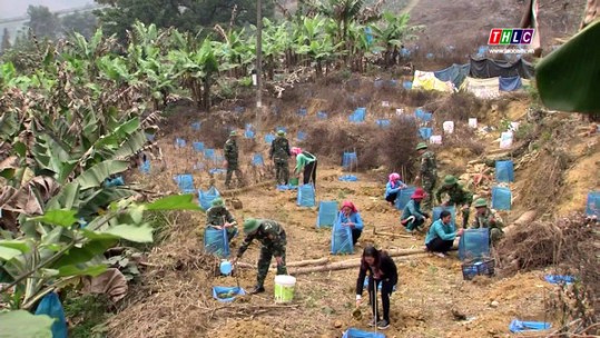 Vùng biên bừng sáng sức xuân