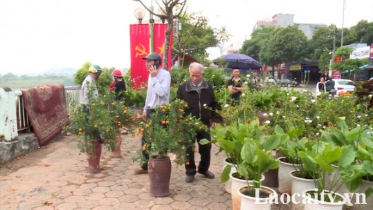Ước vọng đầu năm