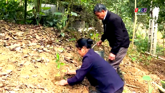 Ươm mầm mùa xuân