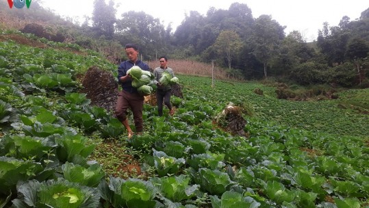 Lào Cai - Sáng tạo cho nông thôn mới thêm bền vững