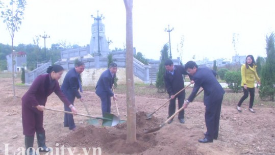 Lào Cai phát động Tết trồng cây xuân Canh Tý 2020