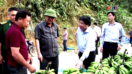 Niềm vui về đích sớm nông thôn mới