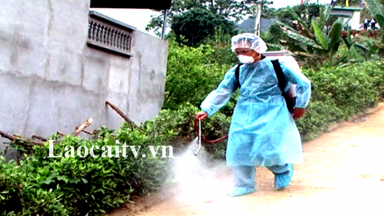Triển khai Tháng Vệ sinh tiêu độc khử trùng đợt 1 năm 2020