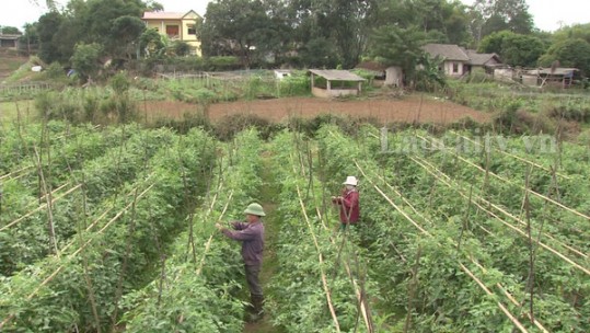Phấn đấu nâng cao thu nhập bình quân người dân khu vực nông thôn