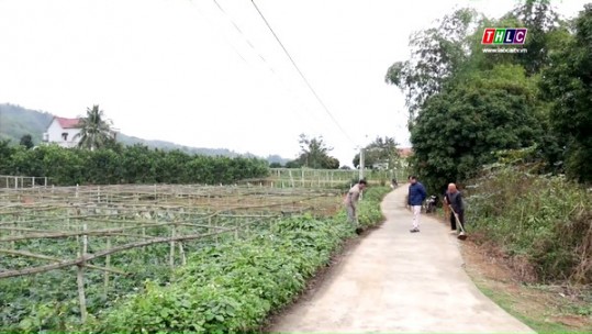 Phát huy vai trò người đứng đầu trong thực hiện nhiệm vụ