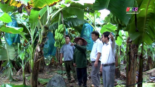 Tiền đề để thực hiện mục tiêu nhiệm vụ phát triển kinh tế trong nhiệm kỳ tới