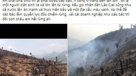 Sẽ xử nghiêm cá nhân tung tin đốt rừng để trồng cây nông nghiệp