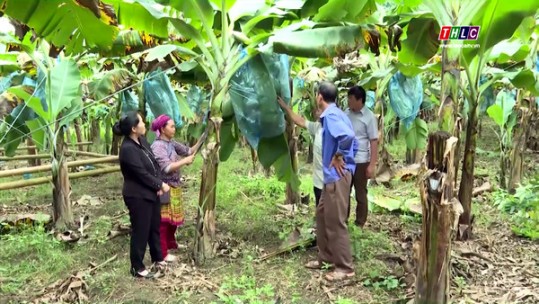 Để người dân yên tâm gắn bó với quê hương