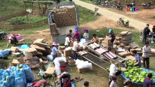 Nhiều khó khăn trong xuất khẩu sản phẩm chuối quả