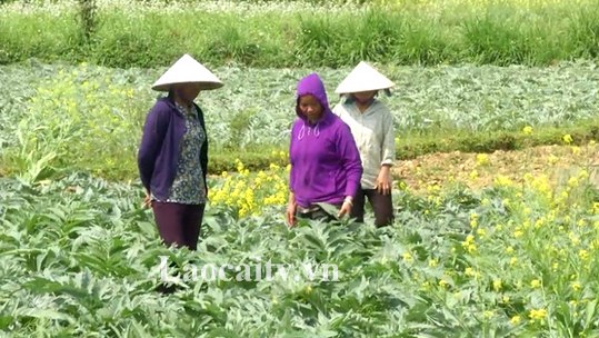 Tấm gương người phụ nữ hết lòng vì công tác hội