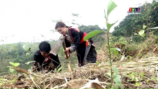 Phòng chống cháy rừng: Nêu cao ý thức và trách nhiệm của người dân