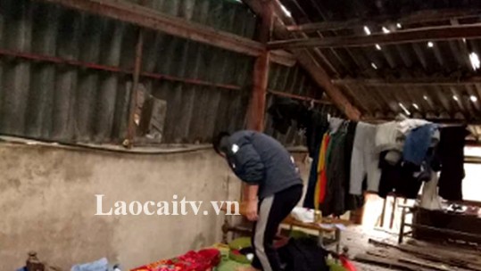 Lào Cai: Mưa đá gây thiệt hại nhà cửa, hoa màu của người dân