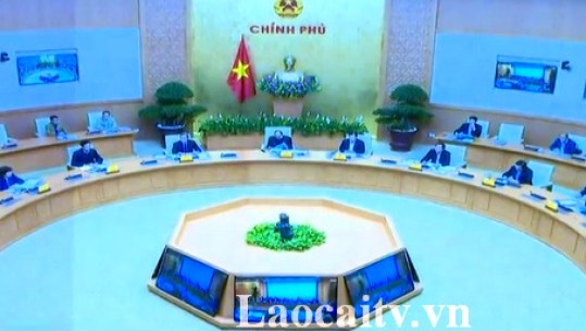 Tổng kết 10 năm Đề án An ninh lương thực Quốc gia