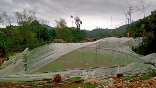 Cập nhật thiệt hại do mưa đá và gió lốc tại Lào Cai đêm ngày 24/3