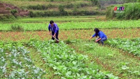 Giải pháp để thanh niên gắn bó với quê hương