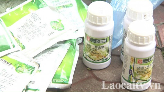 Quản lý thuốc bảo vệ thực vật ở vùng cao (kỳ 2): Tăng cường kiểm tra, xử lý nghiêm trường hợp vi phạm