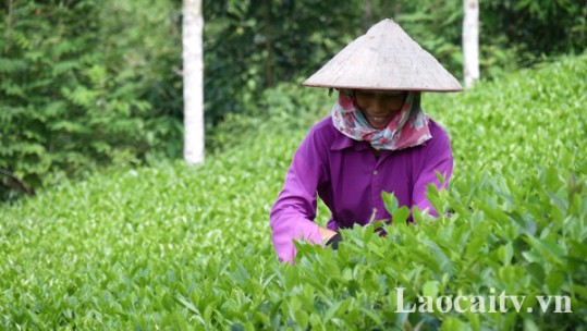 Bảo Yên hoàn thành 21/21 chỉ tiêu Đại hội Đảng bộ huyện