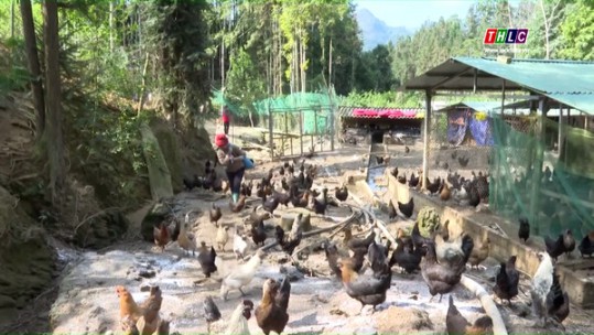 Lan tỏa phong trào Nông dân sản xuất kinh doanh giỏi
