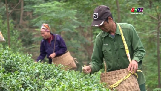 Huyện Bảo Yên còn trên 10% số hộ nghèo