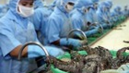 Đề xuất tiền lương của người lao động bị cách ly sẽ do BHXH chi trả