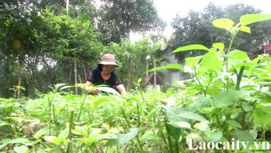 Muôn kiểu nội trợ thời Covid-19