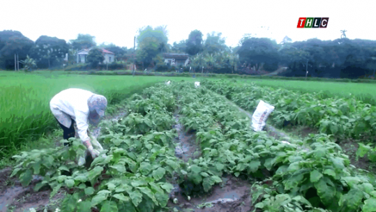 Đảm bảo duy trì sản xuất gắn với thực hiện tốt phòng, chống dịch Covid-19