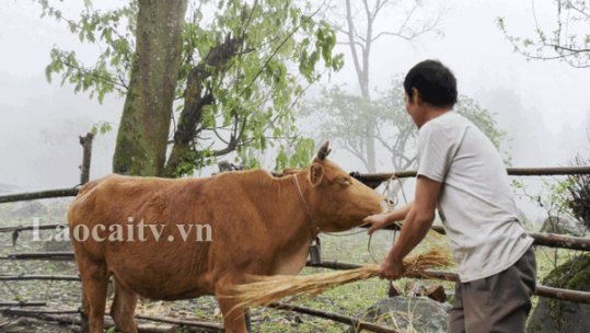 Tín hiệu đáng mừng trong bước đầu triển khai Nghị quyết 06